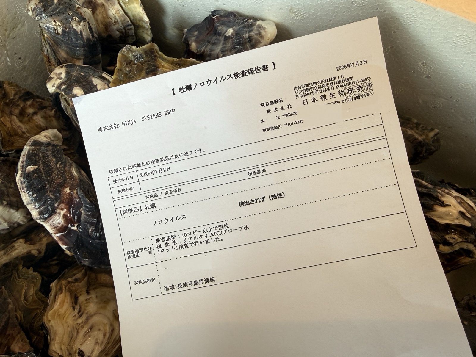 牡蠣のノロウイルス検査報告書 検出されず（陰性）